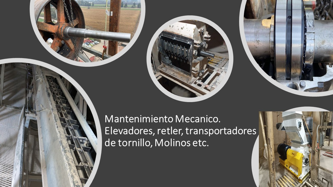 Mantenimiento mecánico de elevadores, transportadores y molinos